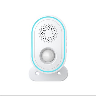 Smart doorbell / alarm system with motion detector