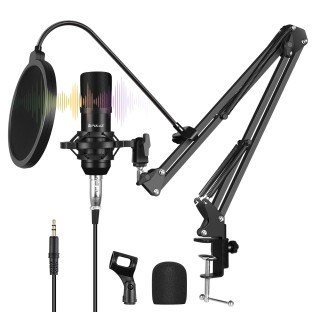 Studio broadcast professionale con microfono a condensatore, braccio a forbice, supporto in metallo e scheda audio USB