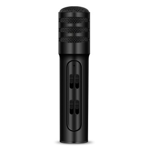 Portable condenser microphone with built-in sound card