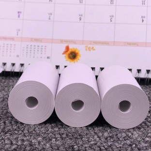 10 rotoli di carta termica C19 per stampanti 57 x 30 mm