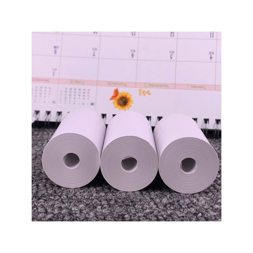 10 rouleaux C19 de papier pour imprimante thermique 57 x 30 mm
