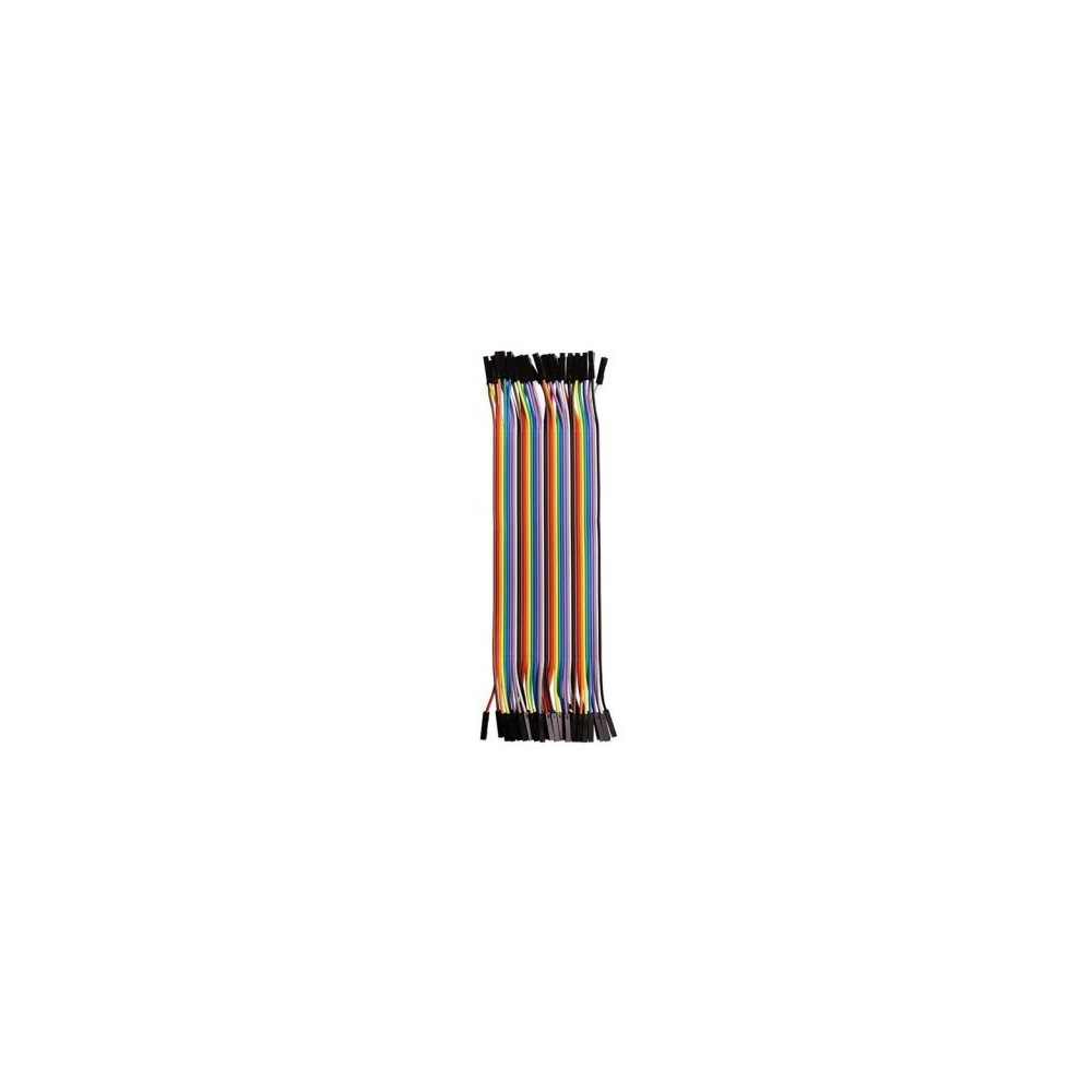 40Pin female to female head DuPont cable