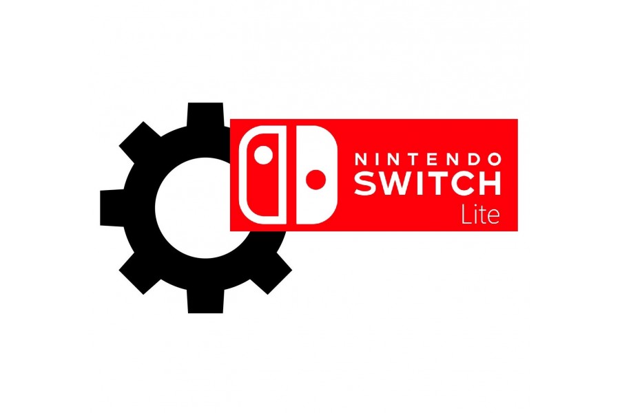 Pièces détachées Nintendo Switch Lite
